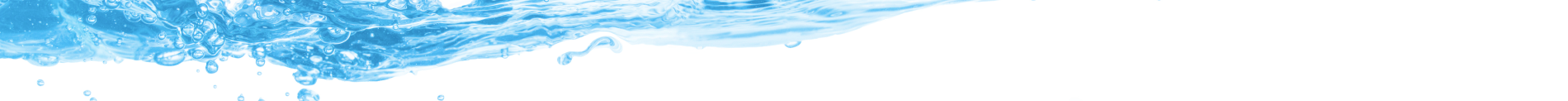 Transparencia (prov)